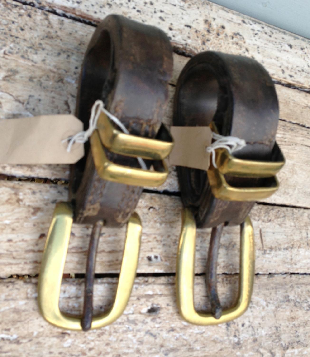 Shire Horse Strap Buckles