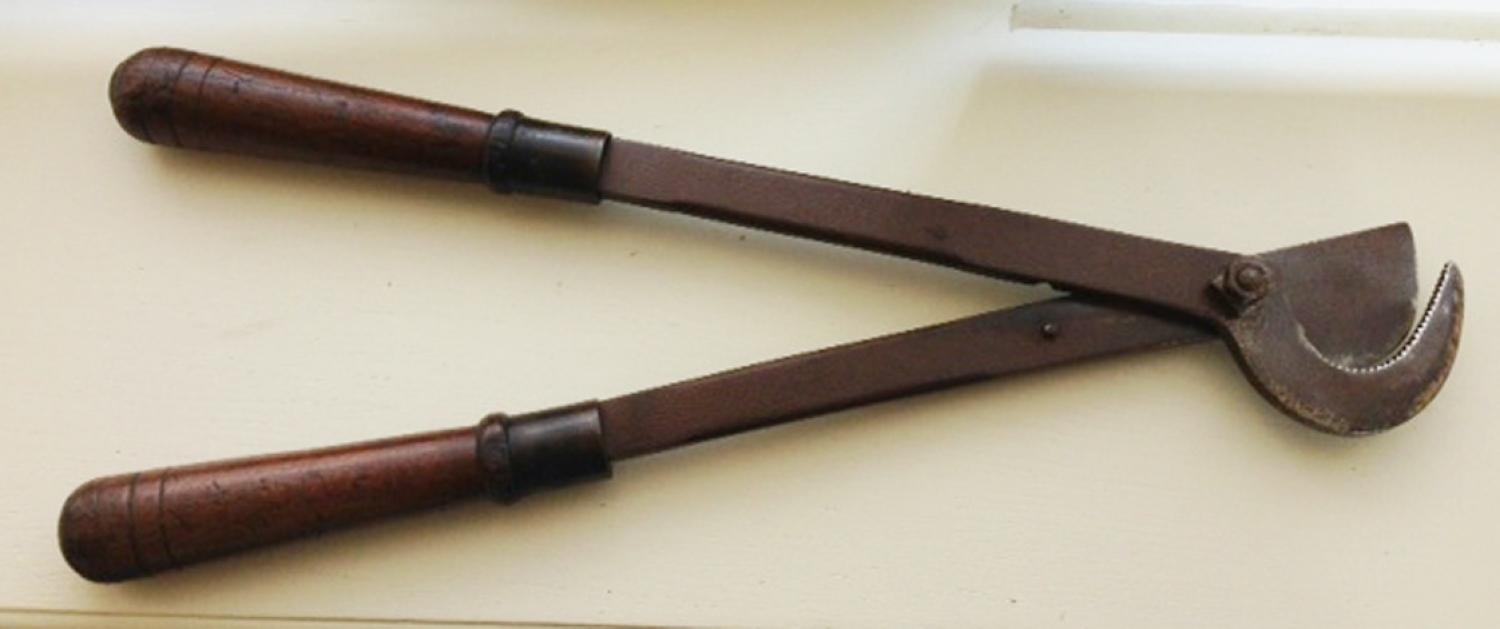 Rare 19th cent Horse Tail croppers