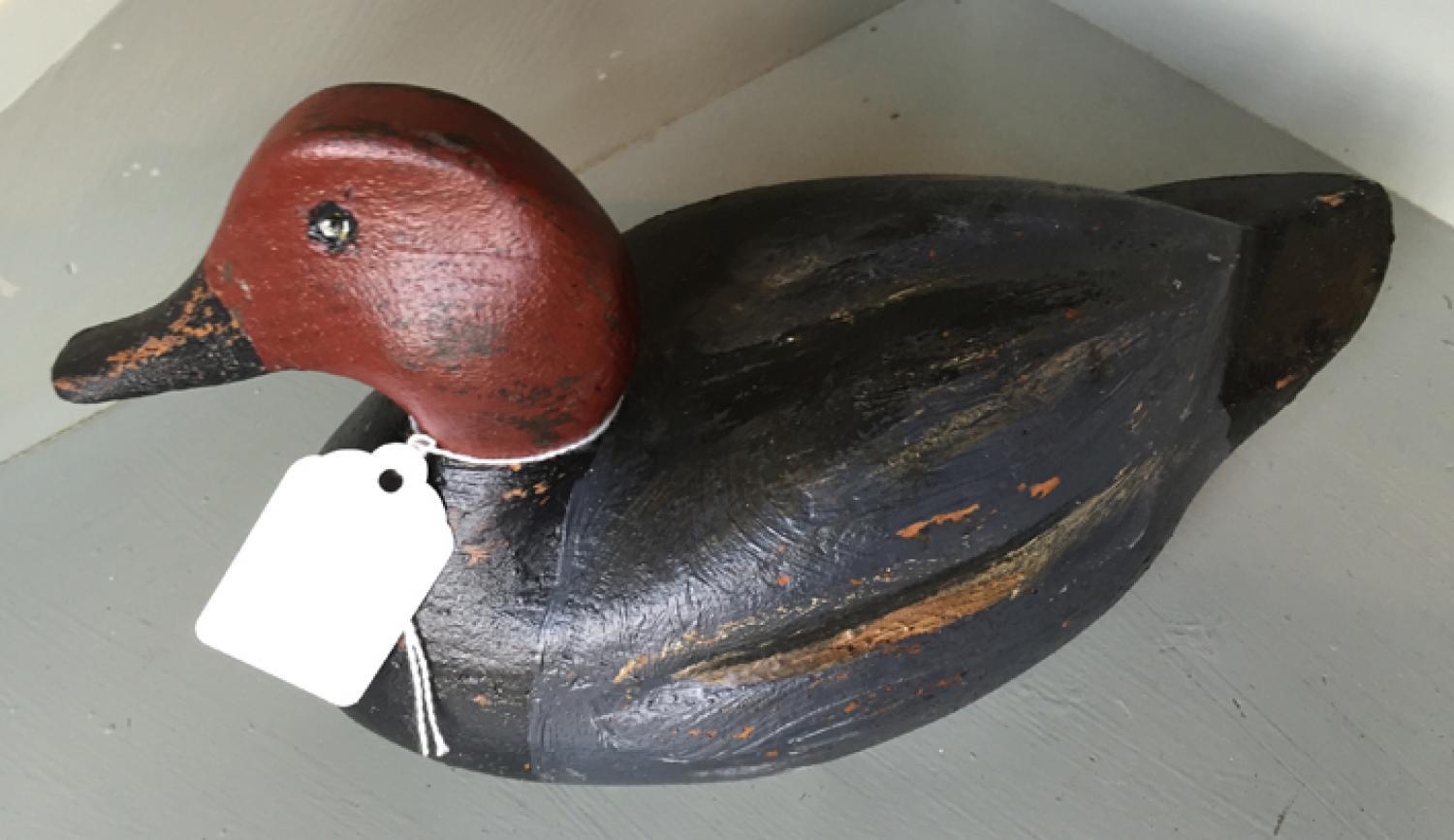 Antique Decoy Duck (Male Pochard)