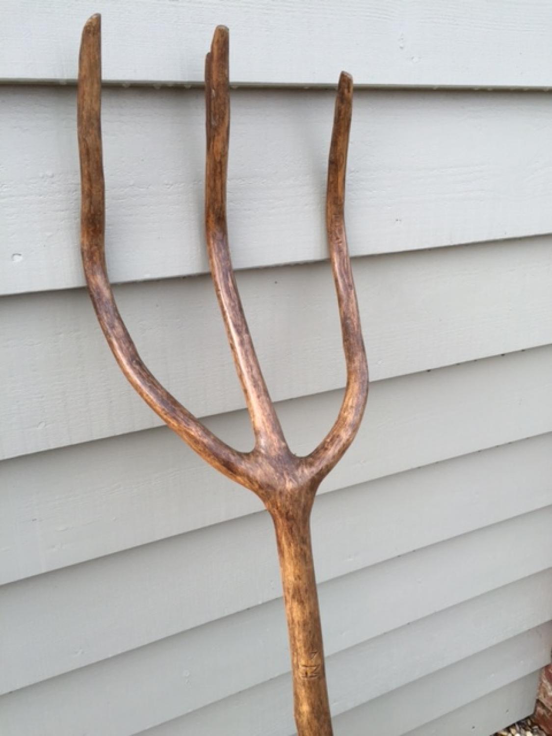 Antique Tree Fork