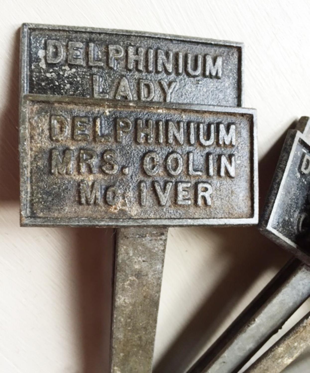 Antique Delphinium Plant Labels