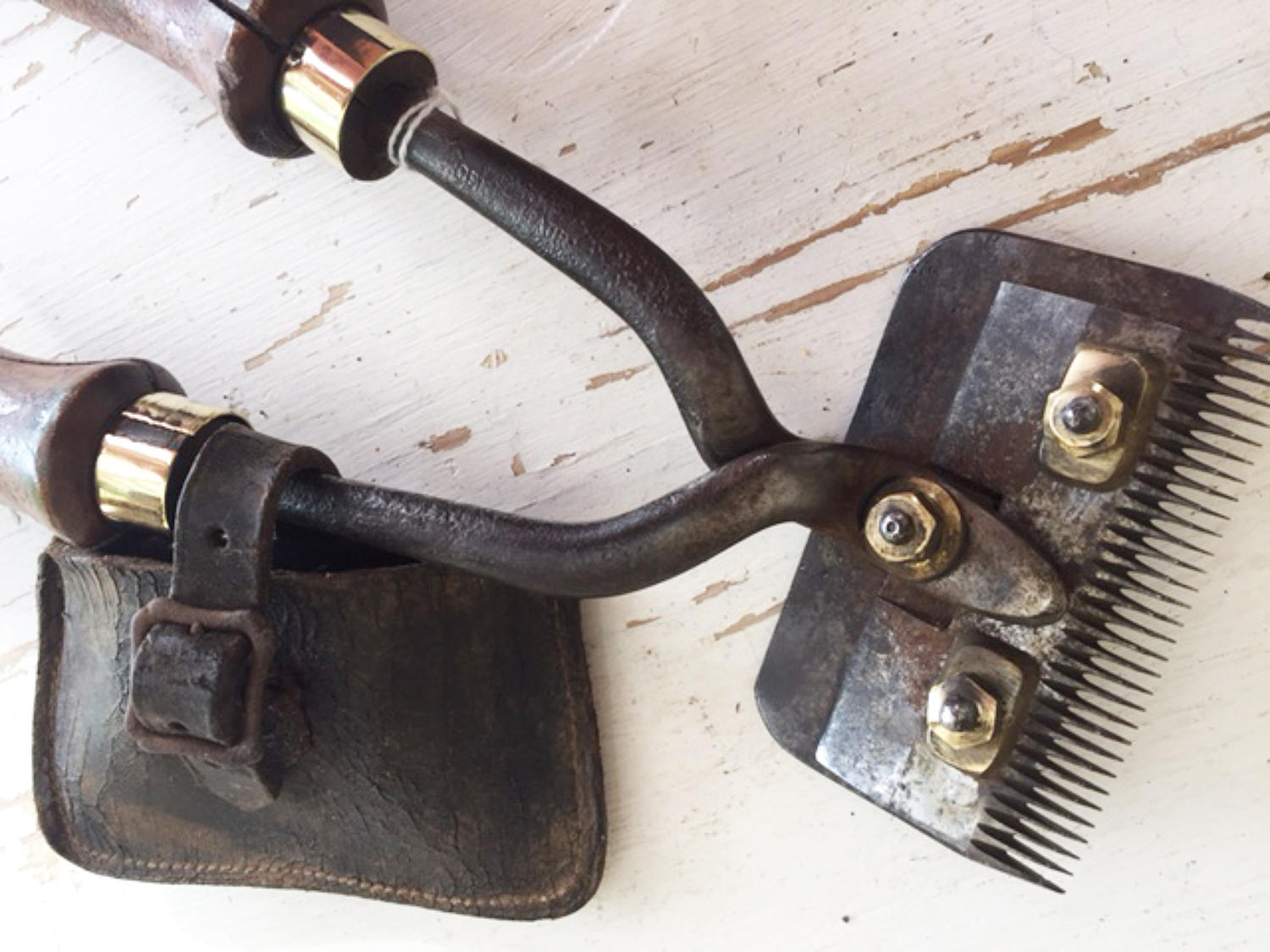 Vintage Horse Clippers
