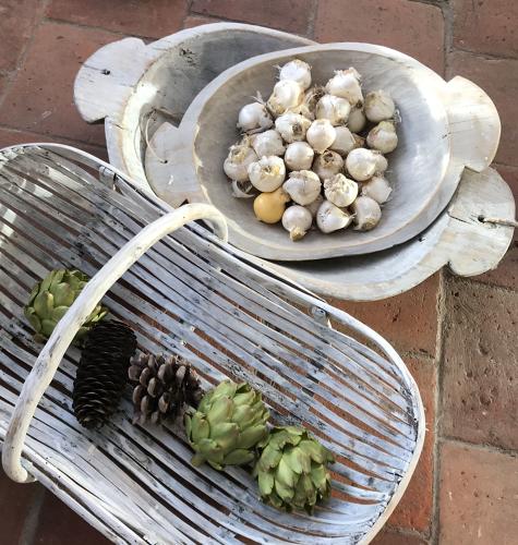French Melon Basket