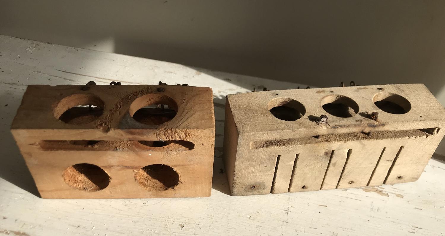 2 and 3 hole Mouse Traps