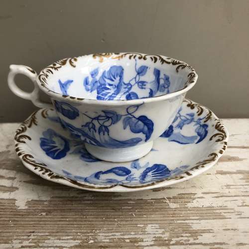 Convolvulus Cup & Saucer