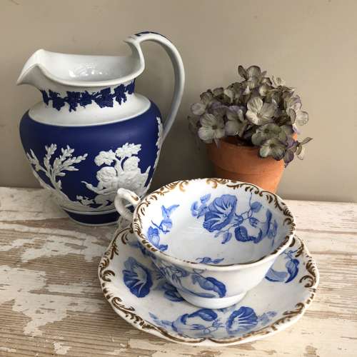 Convolvulus Cup & Saucer