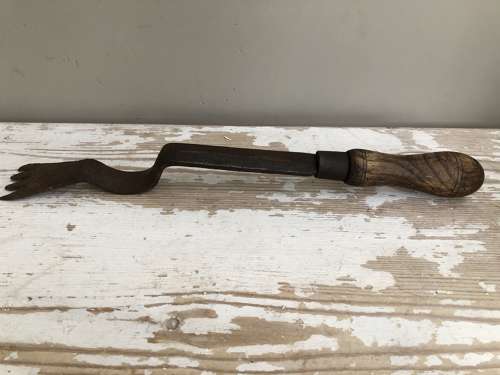 Unusual Buttercup Fork