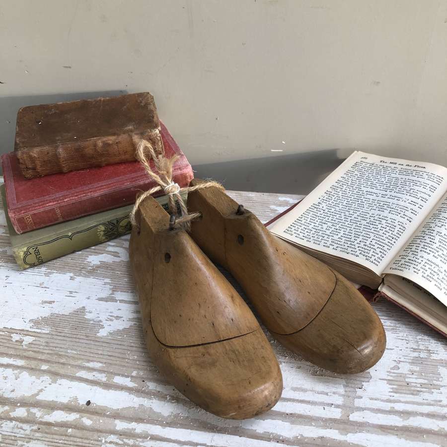 Vintage Shoe Moulds