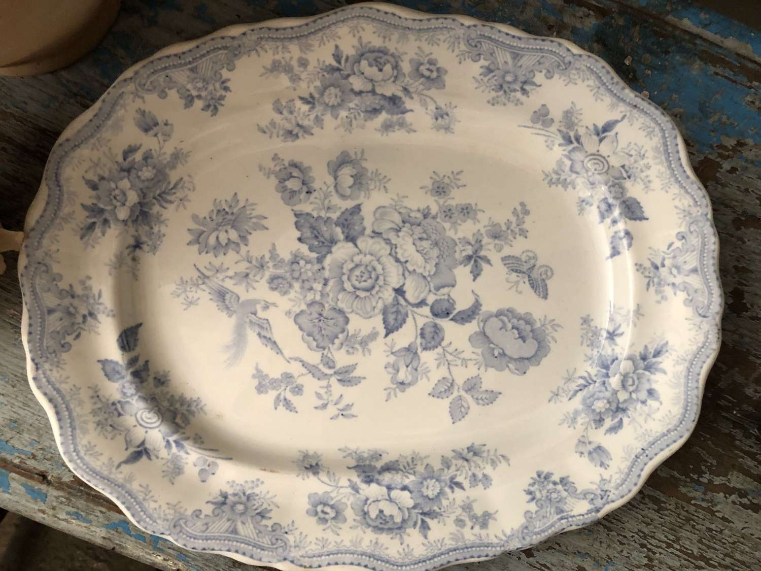 Asiatic Pheasant Plate in excellent condition