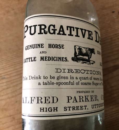 Purgitive Drink Bottle