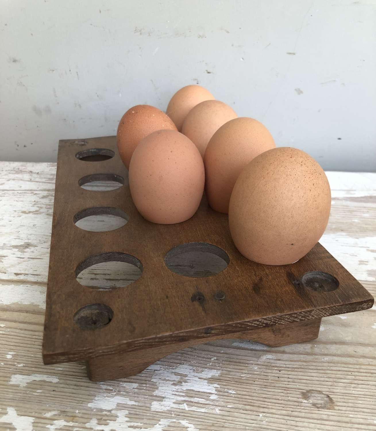 1 Dozen Egg Rack