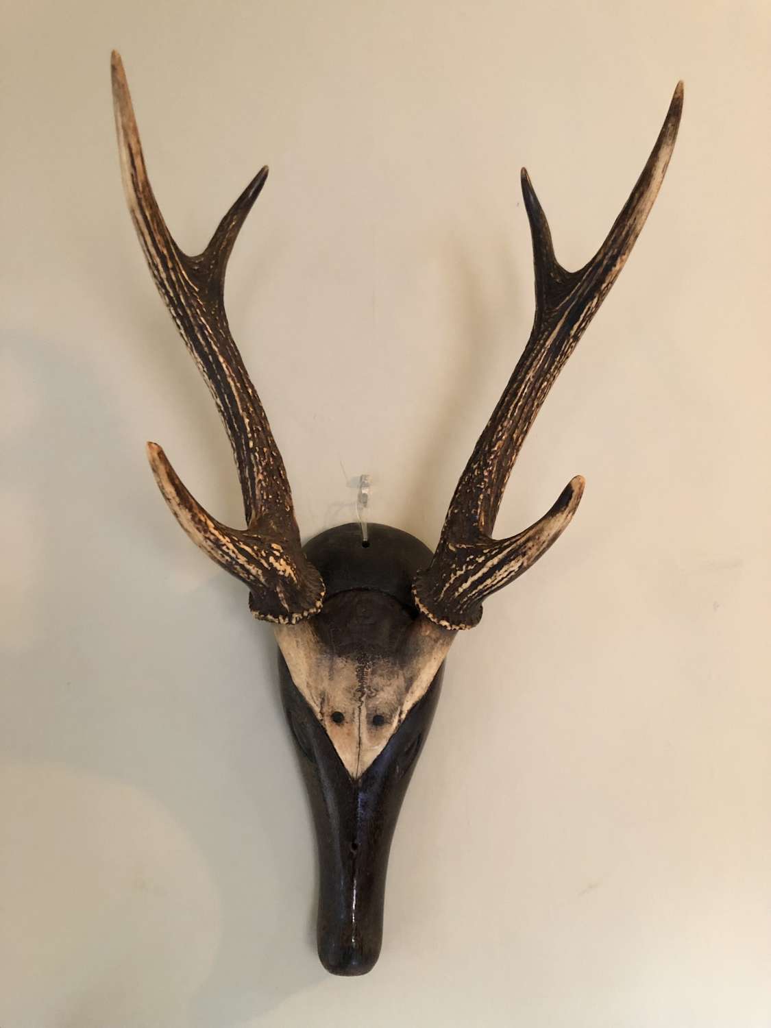 19th Cent Carved Deer's Head with real Antlers
