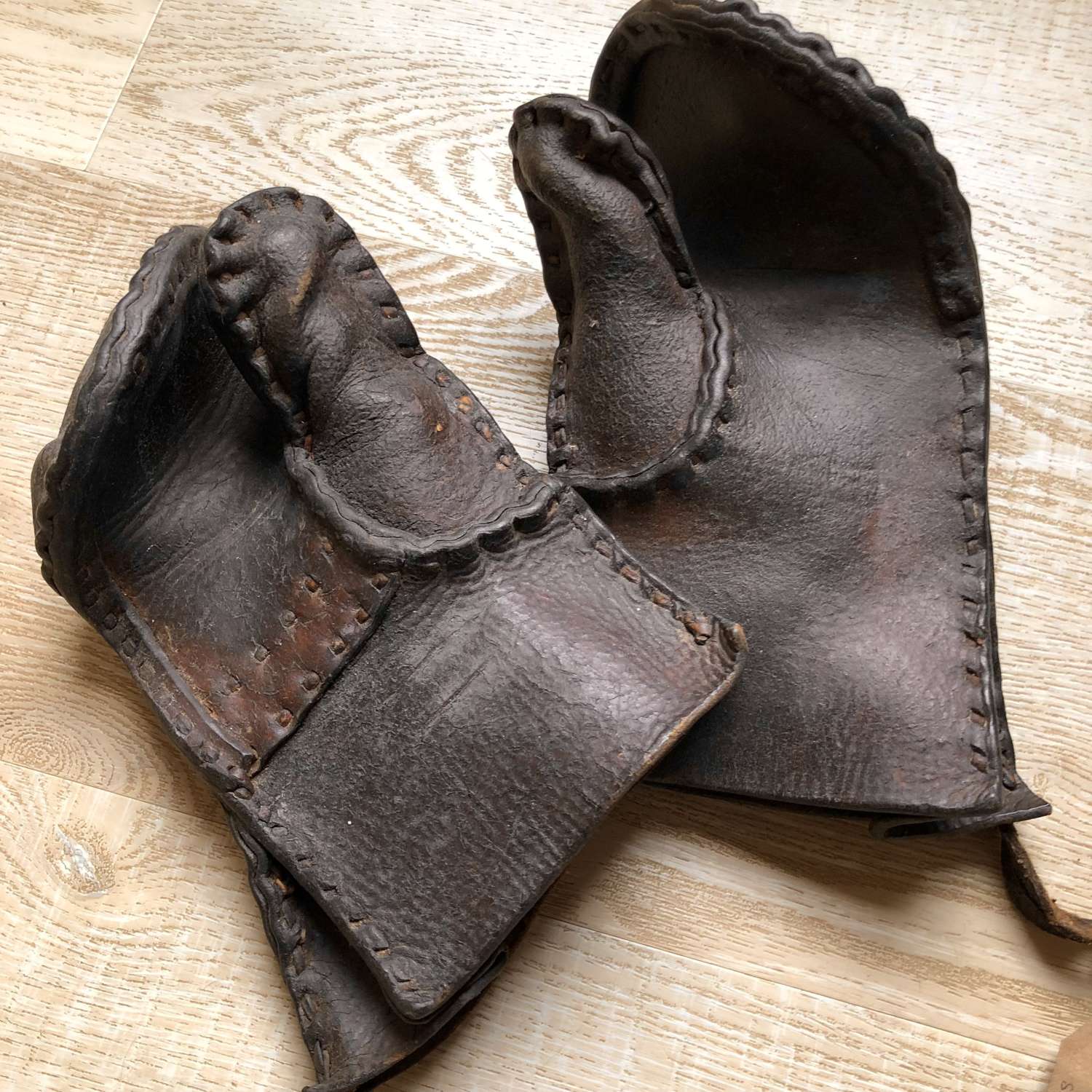 Pair of Early Hedge Layer's Mittens