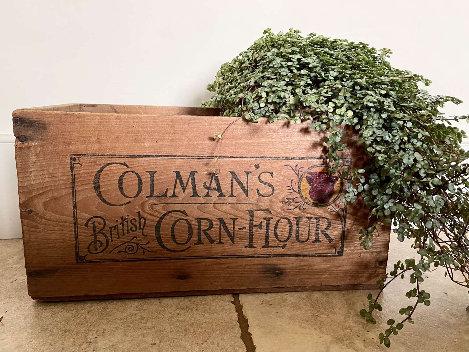 Vintage Colman's Corn-Flour Box