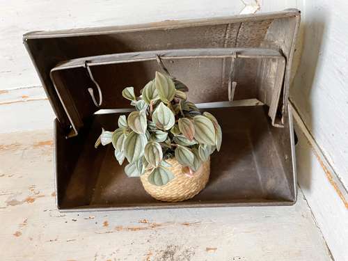 Antique Lark Roaster (Oven)