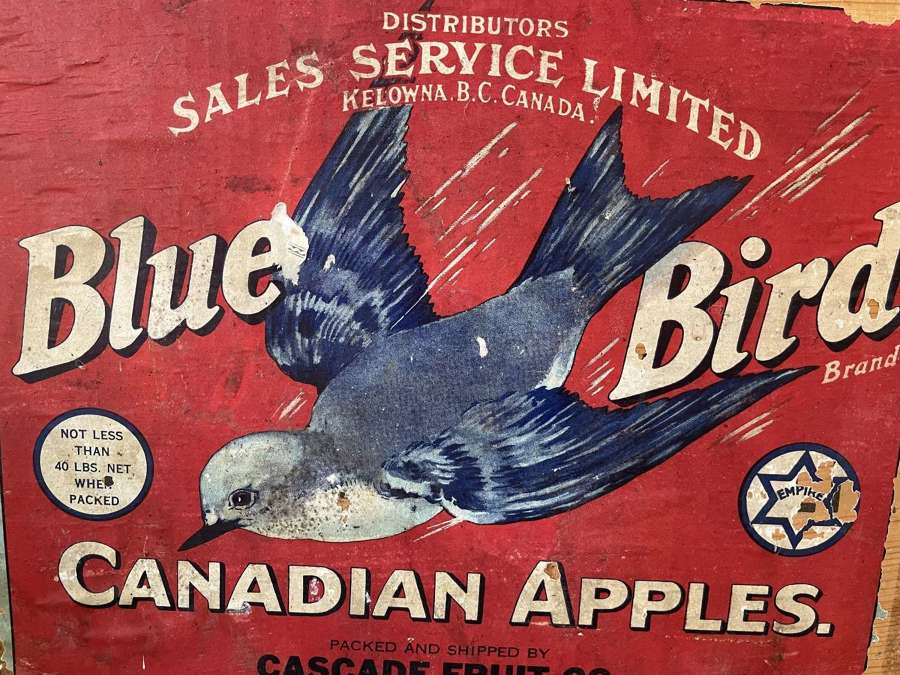 Blue Bird Apples Advert