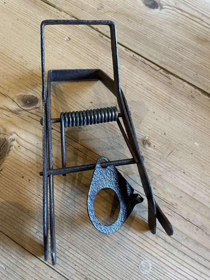 Unusual Design of Mole trap