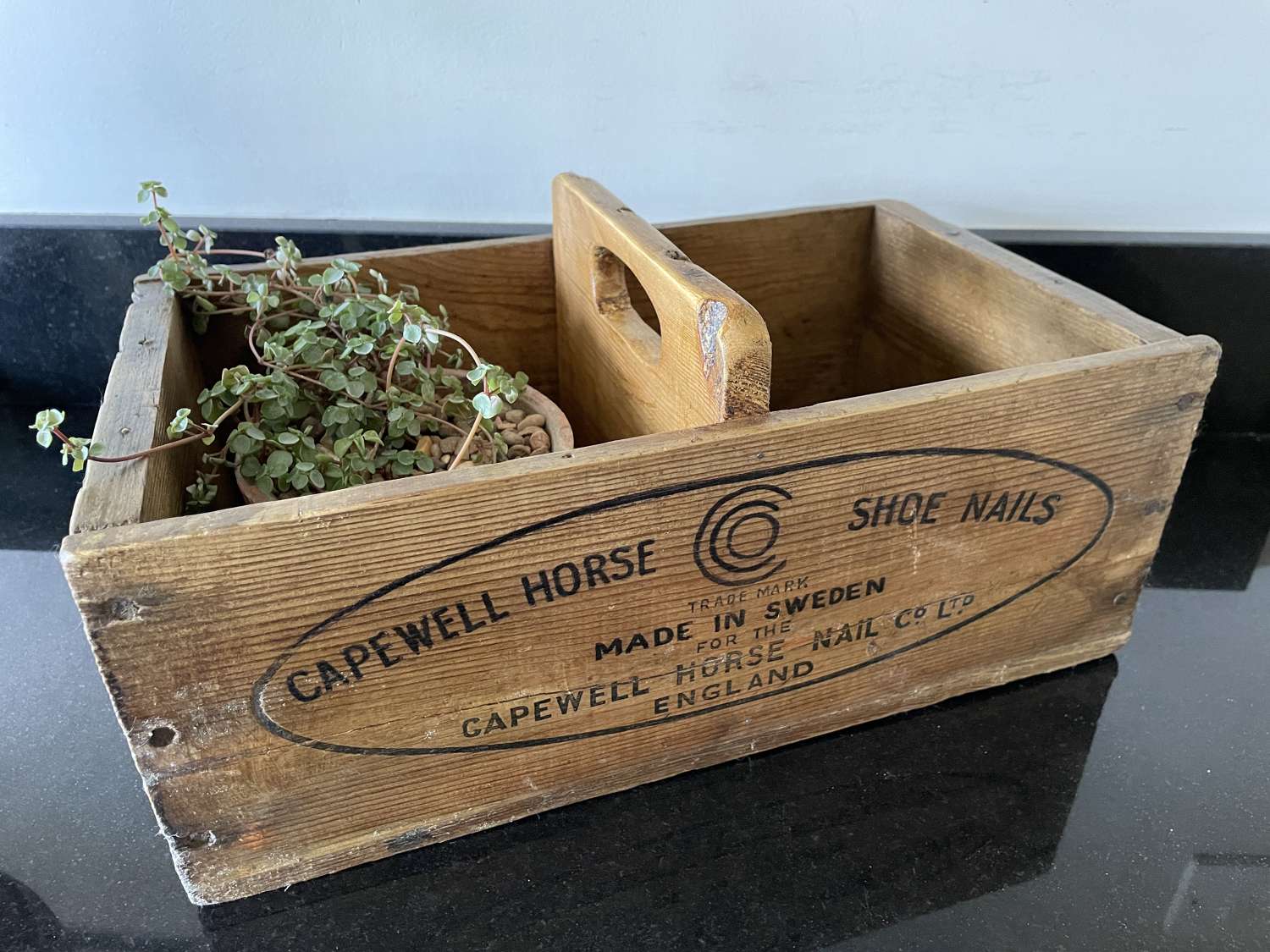 Old Horse shoe Nail Box