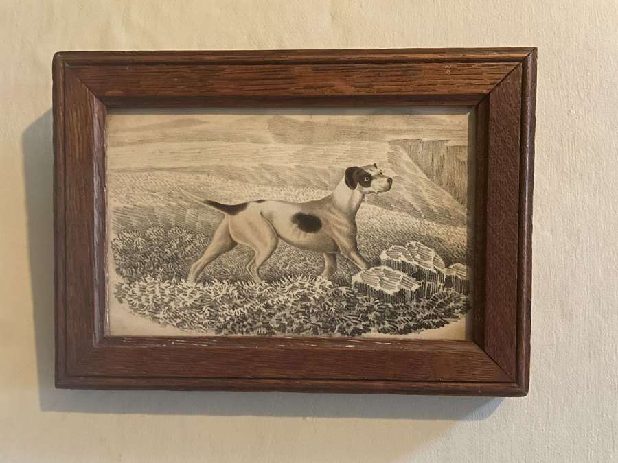 19th Cent Sporting Dog Framed Print