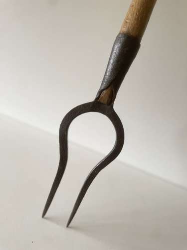 Old Parsnip Lifter