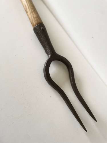 Old Parsnip Lifter