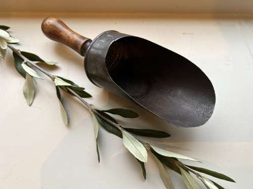 Edwardian, Small Scale or Tea Scoop