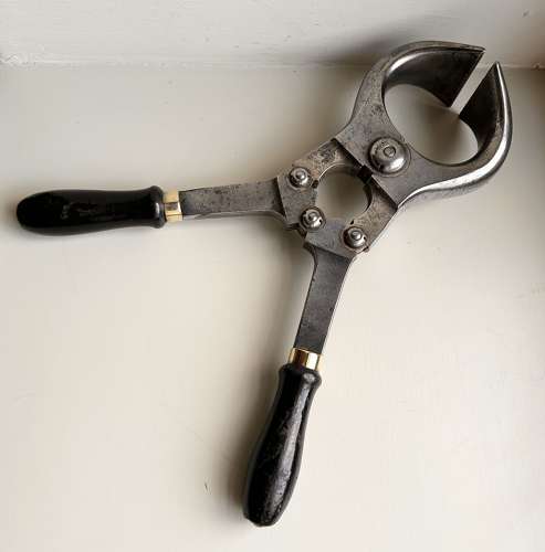 The Holborn Bloodless Castrator