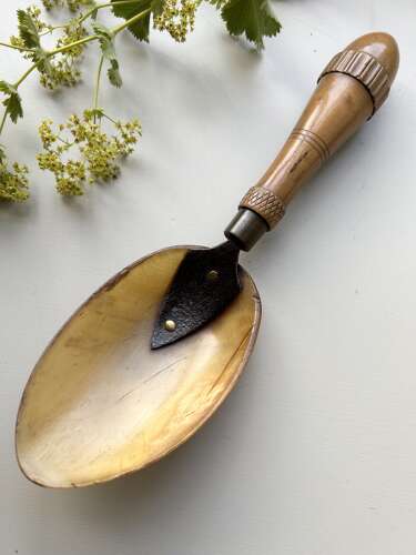 19th Cent HORN & PEAR WOOD SPOON