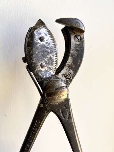 Scarce Arnold & Sons CASTRATORS