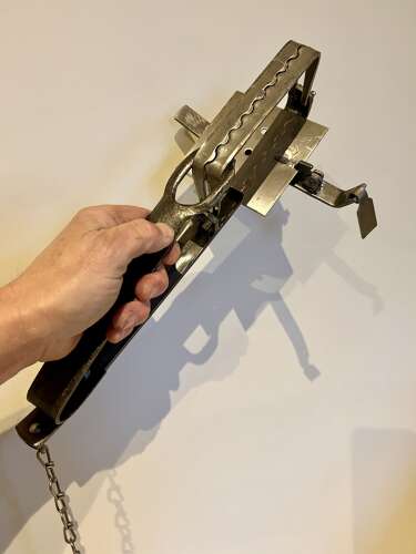 The 'KILLER' Fox Trap