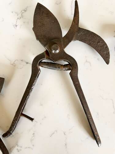 Antique 'Billhook' Vine Secateurs