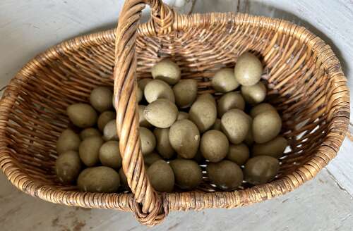 Rare, Wooden Gamekeeper's Dummy Partridge Eggs