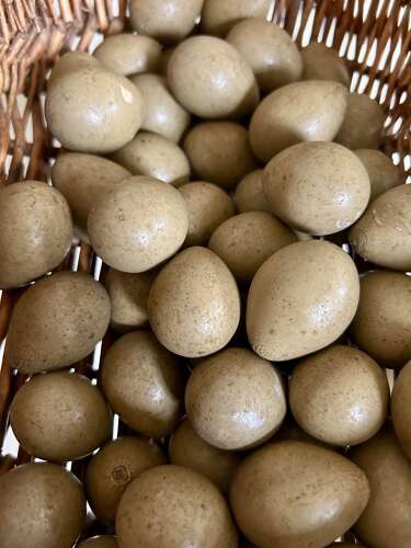 Rare, Wooden Gamekeeper's Dummy Partridge Eggs