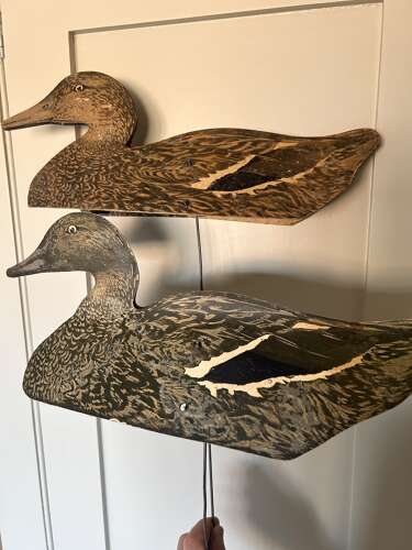 Mallard Duck Lawn Decoy