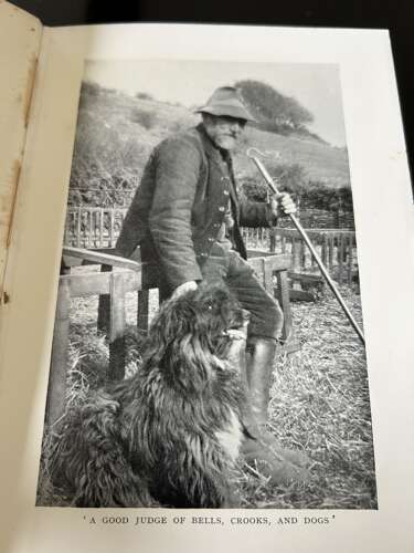 Barcley Wills DOWNLAND TREASURE