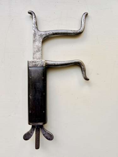 Rare, Adjustable Lyre Gag for Sheep