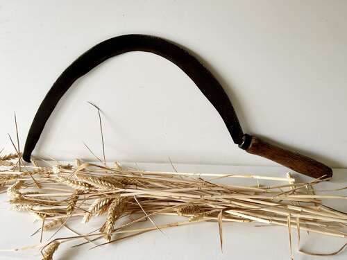 Large, Thatcher's Scythe
