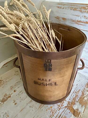 Fine, 2 handled HALF BUSHEL GRAIN MEASURE