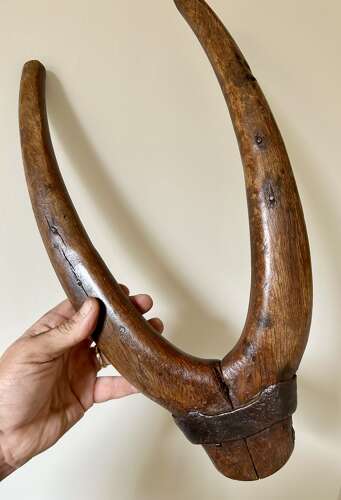 Antique Donkey Yokes