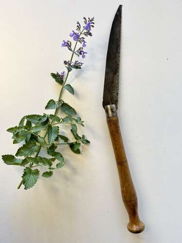 Gardener's Folding Tree Saw